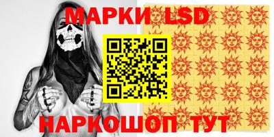 apvp Гусев