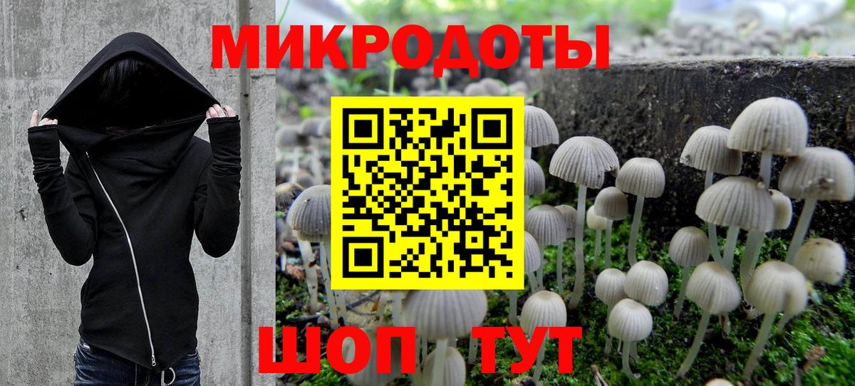 Псилоцибиновые грибы MAGIC MUSHROOMS  Вход с VPN  Новоалтайск 
